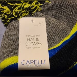 Capelli New York Gray Hat & Gloves Set